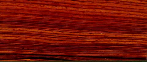 Cocobolo Ağacı