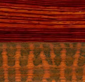 Cocobolo Yılan Ağacı